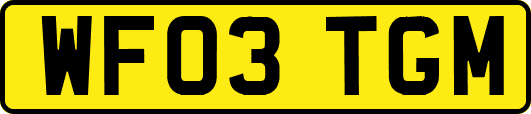 WF03TGM