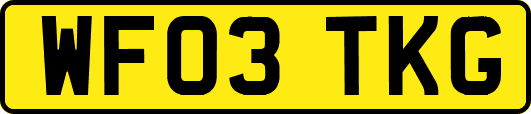 WF03TKG