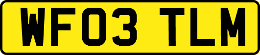 WF03TLM