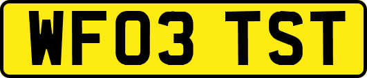 WF03TST