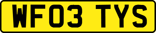WF03TYS