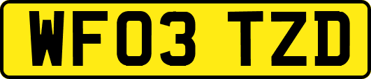 WF03TZD