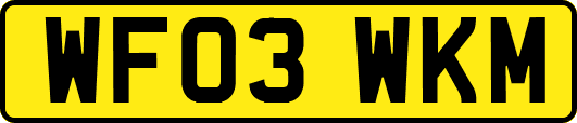 WF03WKM