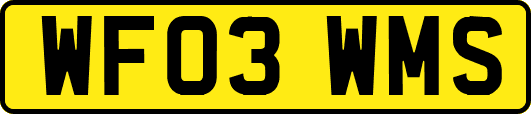 WF03WMS
