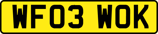 WF03WOK