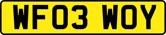 WF03WOY