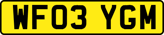 WF03YGM