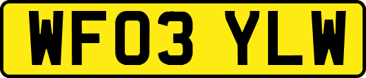 WF03YLW