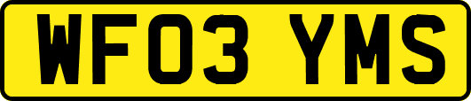 WF03YMS