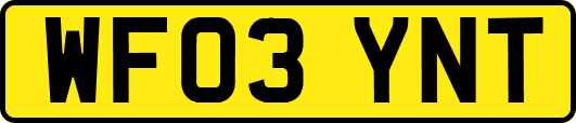 WF03YNT