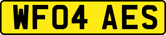 WF04AES