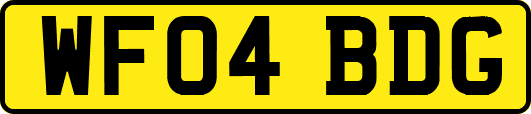 WF04BDG