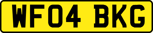 WF04BKG