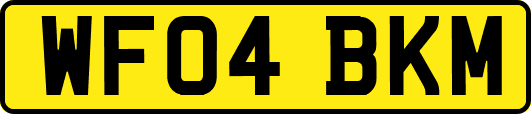 WF04BKM