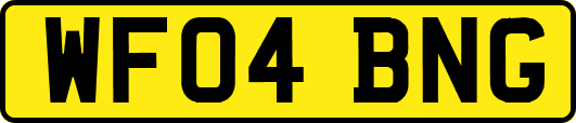 WF04BNG