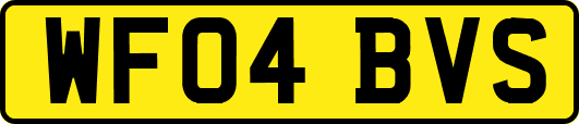 WF04BVS