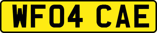 WF04CAE