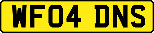WF04DNS
