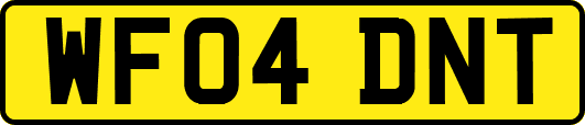 WF04DNT