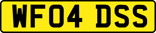 WF04DSS