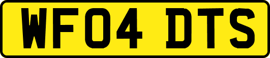 WF04DTS