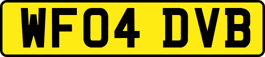 WF04DVB