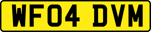 WF04DVM