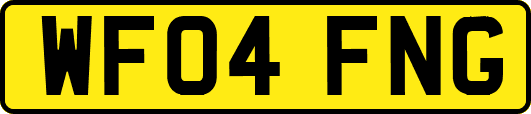 WF04FNG