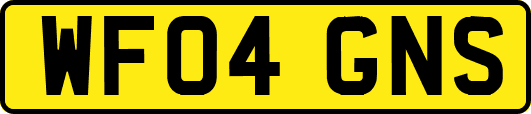 WF04GNS