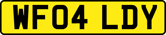 WF04LDY