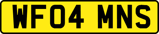 WF04MNS