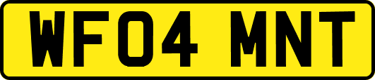 WF04MNT