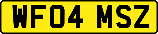 WF04MSZ