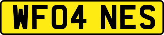WF04NES