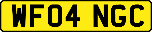 WF04NGC