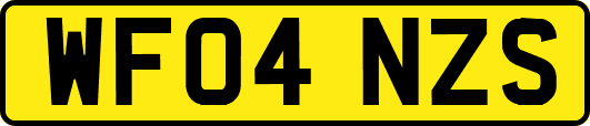 WF04NZS