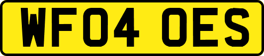 WF04OES