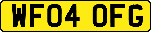 WF04OFG