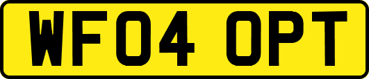 WF04OPT