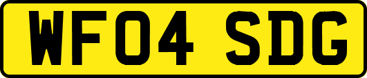 WF04SDG