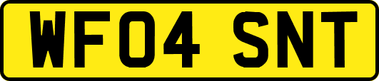 WF04SNT
