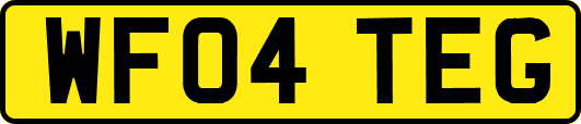 WF04TEG