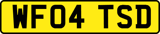 WF04TSD