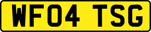 WF04TSG