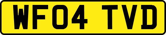 WF04TVD