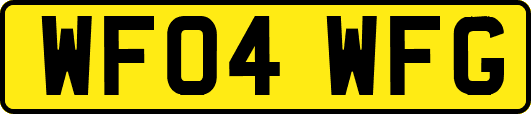 WF04WFG