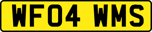 WF04WMS