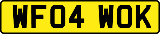 WF04WOK