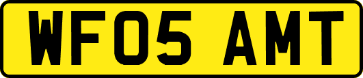WF05AMT