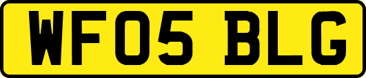 WF05BLG